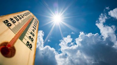 Warning over sunburn, food poisoning, bites and stings amid warm weather